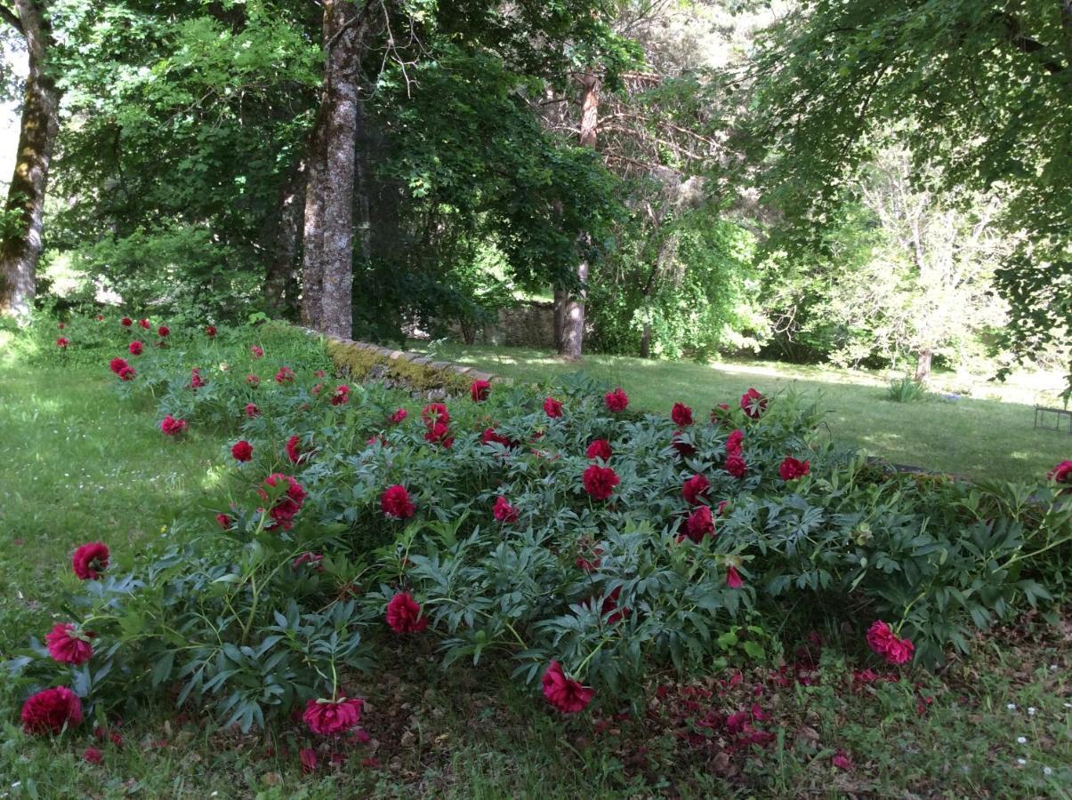 Chateau De Laric Chabestan Bagian luar foto